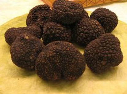 The  strange picking  of truffles